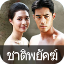 ชาติพยัคฆ์ นวนิยายสมบูรณ์ E-Book APK