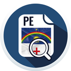 Diário Pernambuco icon