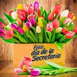 dia de la secretaria