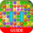 Guide Gardenscapes - New Acres icône