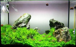 Aquascape Design Update ภาพหน้าจอ 1