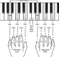 البيانو الحقيقي المعلم الملصق