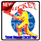 Technique of Playing Cricket Pro icon