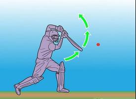 Technique of Playing Cricket Pro poster