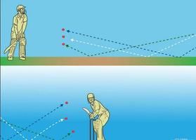 Technique of Playing Cricket Pro screenshot 3