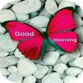 Good morning,Day,Night GIF