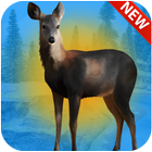 Deer Hunting 3D free biểu tượng