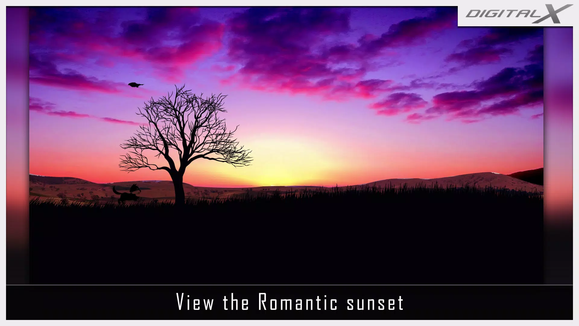 Animated sunrise ambience free APK for Android Download Animated sunrise ambience free APK for Android Download