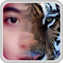 Funny Face Animal HD APK