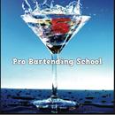 Pro Bartending School APK