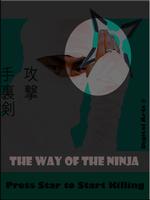 1 Schermata the way of the ninja
