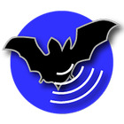 Bat Recorder icône