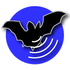 Bat Recorder icon