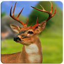 DEER HUNTER 2018 APK