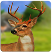 DEER HUNTER 2018