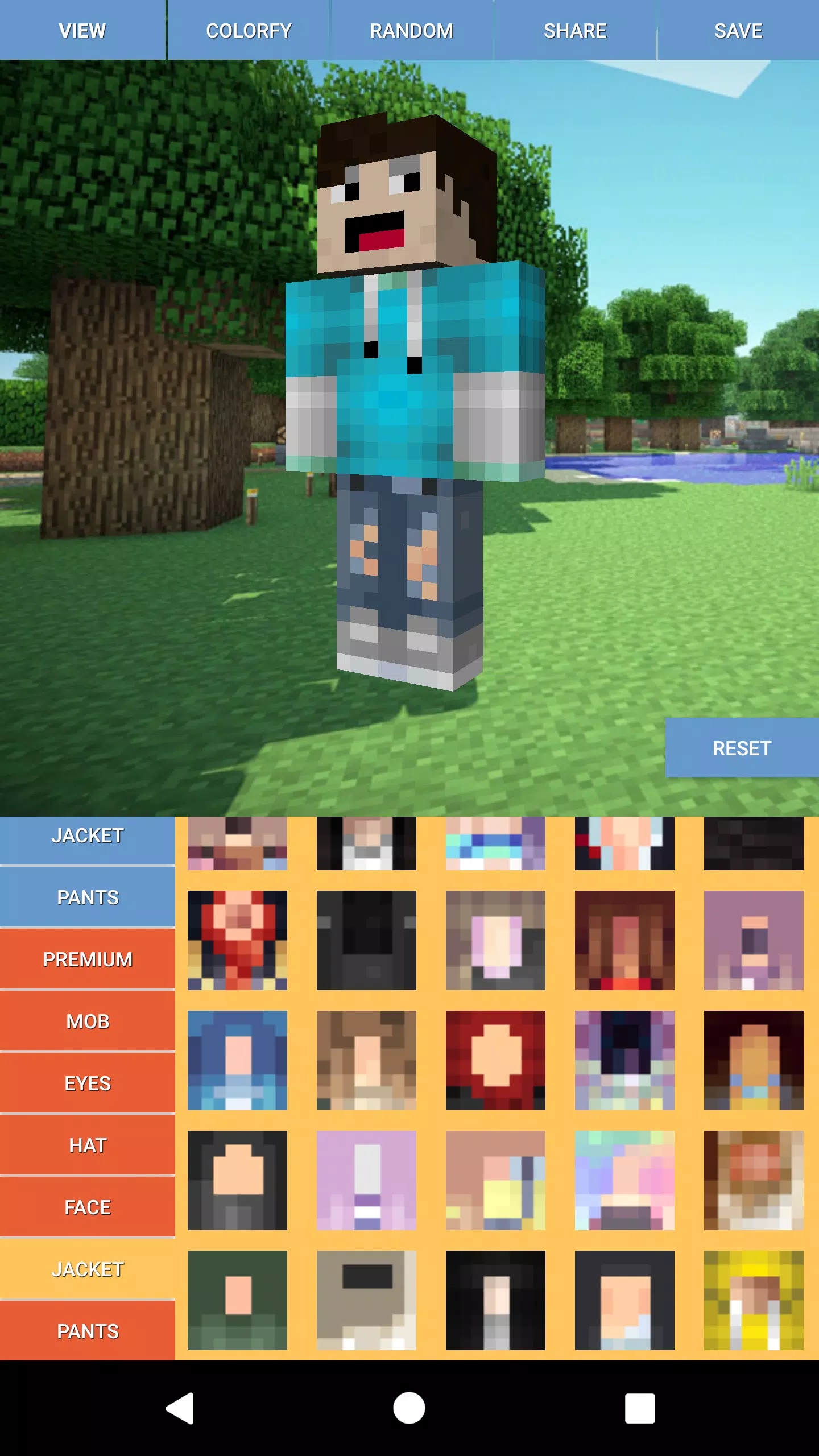 Screenshot of in-game skin editor