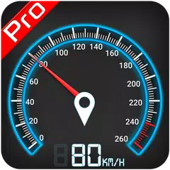 GPS Speedometer, HUD ADS Free