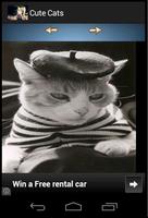 Cute Tom Cats Wallpapers تصوير الشاشة 1