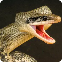 Anaconda Rampage Snake Attack APK download
