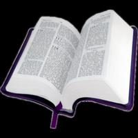 Youth Holy Bible 포스터