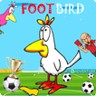 FOOTBIRD Lite