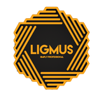 Ligmus360 Company icône