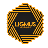 Ligmus360 Company