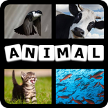 4 Pics 1 Animal