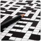 Crossword Clue Solver icône