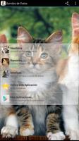 Sonidos de Gatos poster