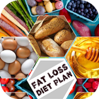 Fat Loss Diet Plan icône