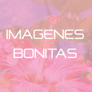 Imagenes Bonitas APK