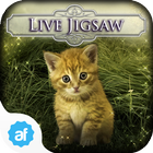 Hidden Jigsaws - Cat Tailz আইকন