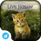 Hidden Jigsaws - Cat Tailz icon