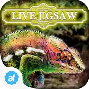 Live Jigsaw Escape to Paradise