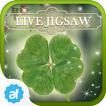 Live Jigsaws - Luck of Irish