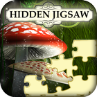 Hidden Jigsaws: Land of Dreams-icoon