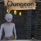 Duengon Escape - 3D Labyrinth icône