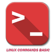 Linux Commands Basic