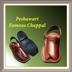 Famous Peshawari Chappal icône