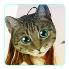 Real Cute Cat Face Editor أيقونة