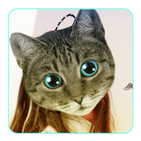 Real Cute Cat Face Editor