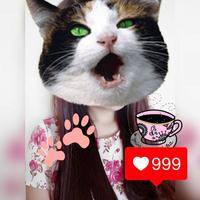 Real Cute Cat Face Editor تصوير الشاشة 1