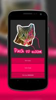 Real Cute Cat Face Editor تصوير الشاشة 2