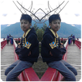 Photo Collage 2016
