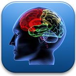 IQ тест (интелигентност)