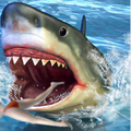 Attack Sharks
