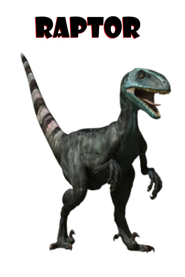 Dinosaur Flash Cards FREE APK For Android Download dinosaur-flash-cards-free-apk-for-android-download