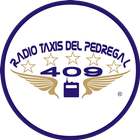 Radio Taxis del Pedregal icône