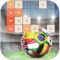 World Cup 2048